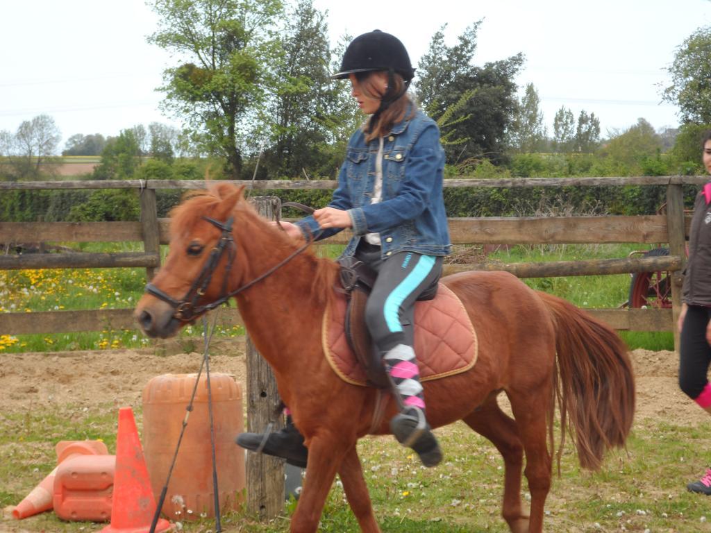 Gite Et Relais Equestre De Marie Tours-en-Vimeu Quarto foto
